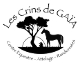 logo Les Crins de Gaa Steve LATRUFFE 